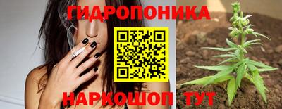 прущие крисы Камышлов