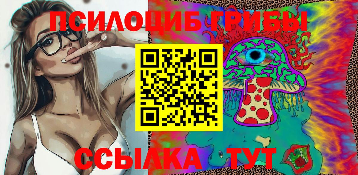 Электрогорск  Псилоцибиновые грибы Psilocybe  Галлюциногенные грибы GOLDEN TEACHER  сколько стоит  Вход с VPN 