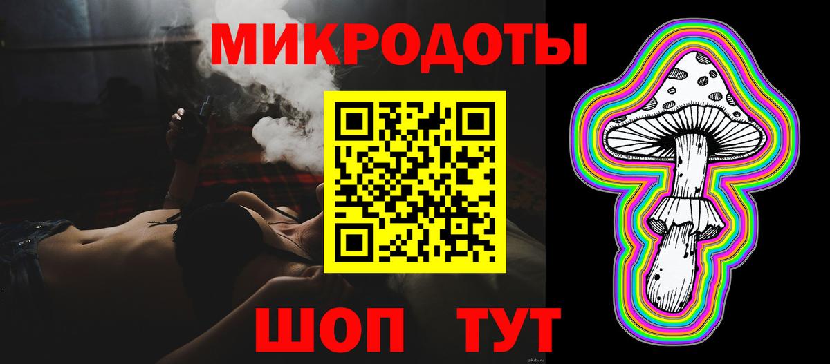 Галлюциногенные грибы Psilocybine cubensis Электрогорск